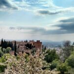 Alhambra Private Tour: Nasrid Palaces and Generalife - Why This Tour Offers Great Value