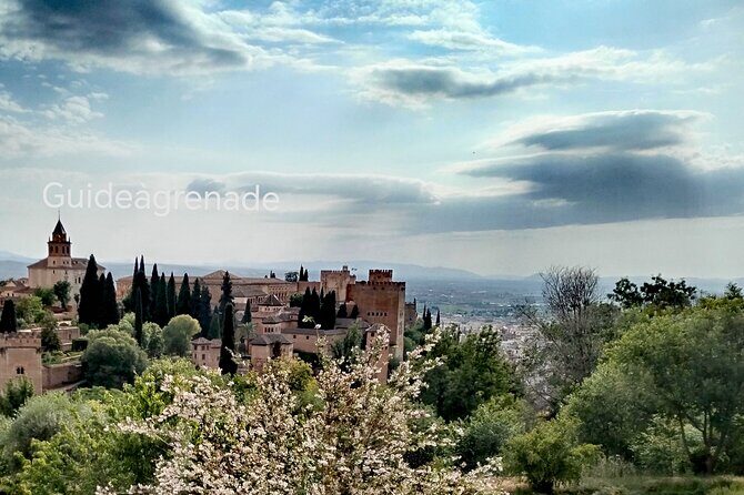Alhambra Private Tour: Nasrid Palaces and Generalife - Why This Tour Offers Great Value