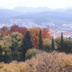 Alhambra Sultan Gardens ,Palaces and towers .Skip the line - Who Will Love This Tour?