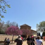 Alhambra Surroundings Guided Tour - Practical Details and What to Expect