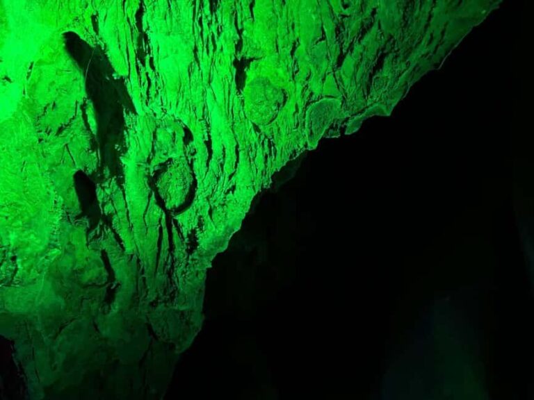 Alicante: Canelobre Caves and Busot Tour - Who Should Consider This Tour?