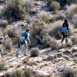 Alicante: Coastline E-Bike and Hiking Tour - Itinerary Breakdown: What to Expect at Each Stop