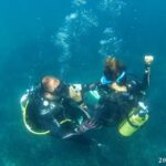 Alicante: Denia Beginners Scuba Diving Experience - What Makes This Dive Experience Stand Out?