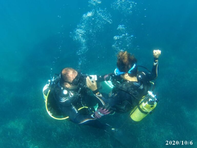 Alicante: Denia Beginners Scuba Diving Experience - What Makes This Dive Experience Stand Out?
