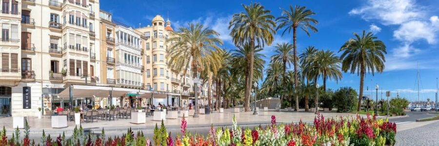 Alicante: Express Walk with a Local in 60 minutes - Who Is This Tour Best For?
