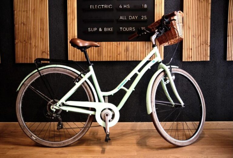 Alicante: Full Day City Bike Rental. - Why You Should Consider This Experience