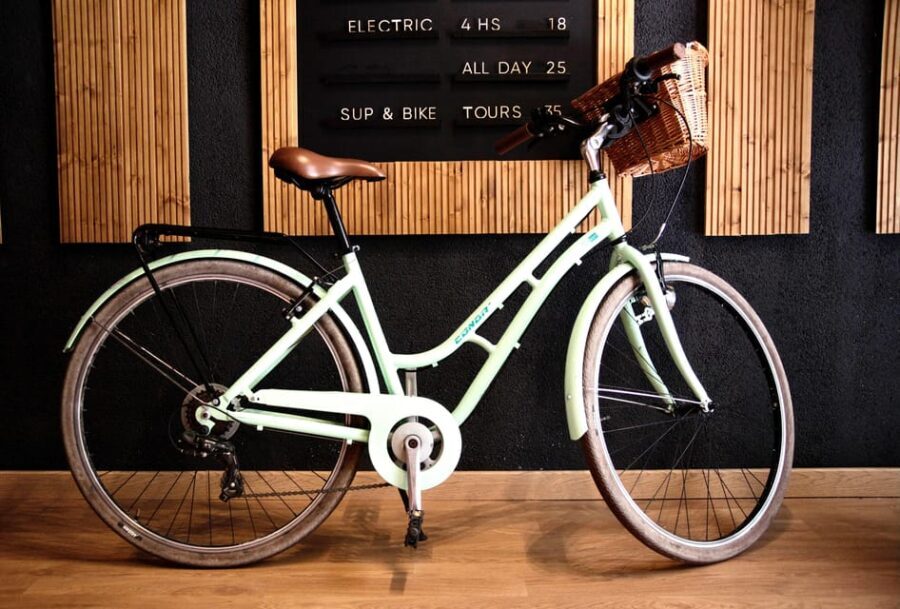 Alicante: Full Day City Bike Rental. - Why You Should Consider This Experience