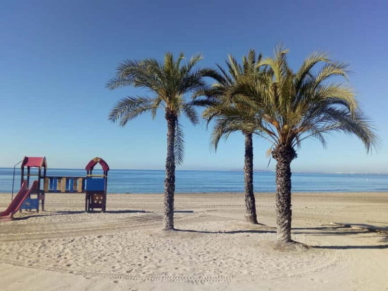 Alicante: Private Bicycle Tour of the Beach and History - Final Thoughts