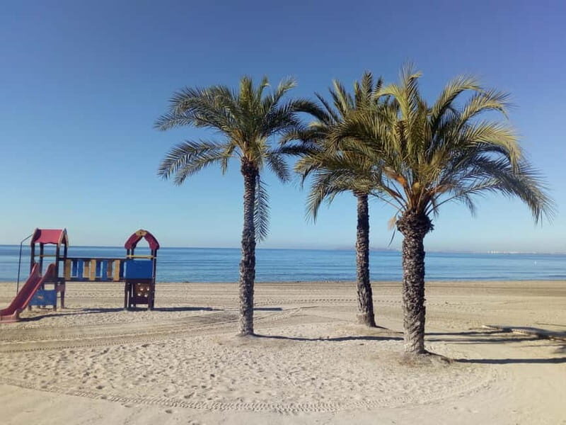 Alicante: Private Bicycle Tour of the Beach and History - Final Thoughts