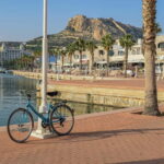 Alicante: Private Guided Tour with Transport - Who Will Love This Tour?
