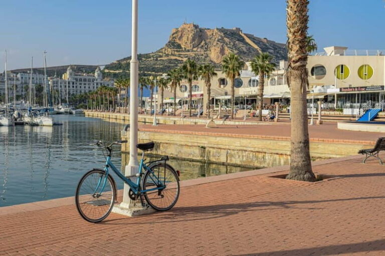Alicante: Private Guided Tour with Transport - Who Will Love This Tour?