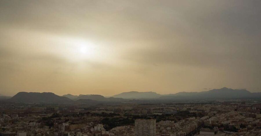 Alicante: Private Walking Tour with a Local - Who Will Love This Tour?