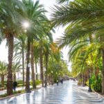 Alicante Semi-Private Tour: City, Castle, Market & Tapas Walk - What Travelers Say