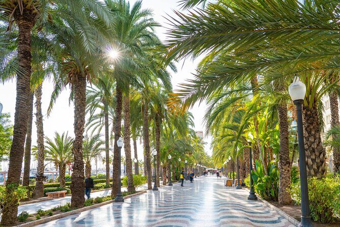 Alicante Semi-Private Tour: City, Castle, Market & Tapas Walk - What Travelers Say