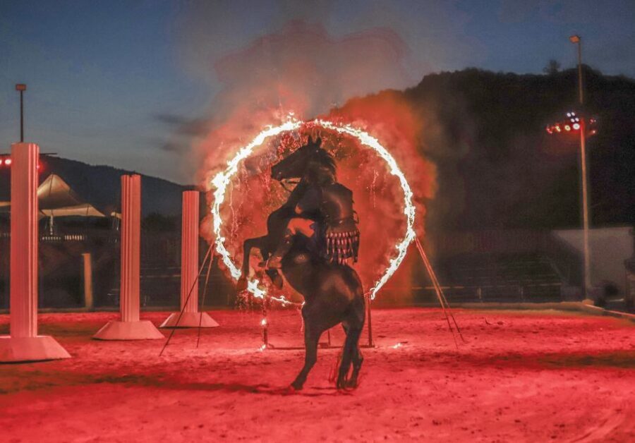 Alicante: Villajoyosa Gran Circus Maximus Entry Ticket - Insights from Real Reviews