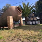 Alicante: Wine tasting tour with transfer - The Experience in Context: Why It’s Worth Considering