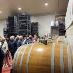 Alicante: Wine Tour and Lunch with Bodega Visit and Novelda - Final Thoughts: Is This Tour Worth It?