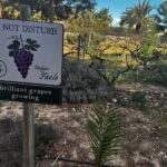 Alicante; Wine Tour Wineries, Food, and Transportation Included - Who Would Love This Tour?