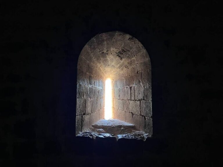 Alicante:Beatiful Castle of Mola+tasting of local wine - The Winery Experience: From Vine to Bottle