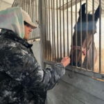 All inclusive Gagauzia: Wine-tasting, Cooking & Lunch! - Practical Details & Tips