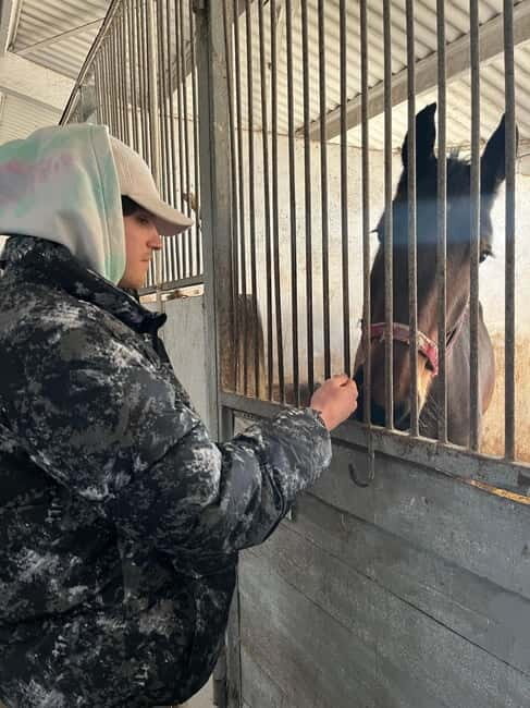 All inclusive Gagauzia: Wine-tasting, Cooking & Lunch! - Practical Details & Tips