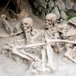 All inclusive Herculaneum Skip the Line Tour From Sorrento - Transportation & Logistics