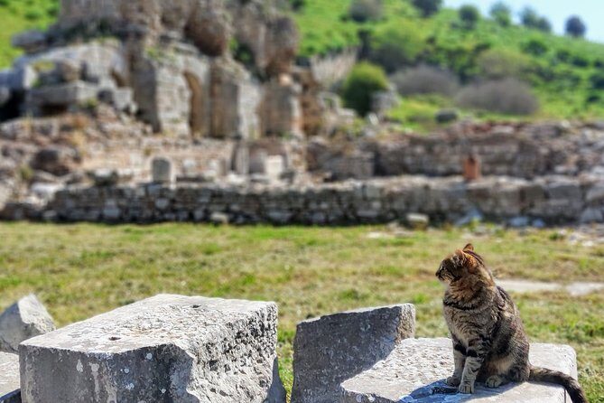 All Inclusive Private Ephesus Day Trip from Istanbul by Plane - Exploring Ephesus: The Highlights and What to Expect