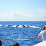 All Inclusive Whale and Dolphin Watching Luxury Tour - What Makes This Tour Stand Out?