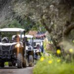Almancil: Algarve Guided Off-Road Buggy Adventure - Who Would Love This Tour?