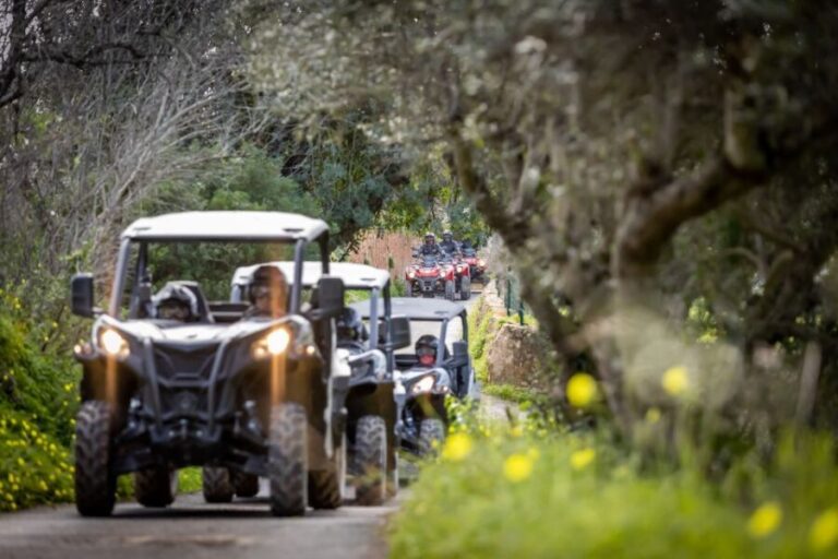 Almancil: Algarve Guided Off-Road Buggy Adventure - Who Would Love This Tour?