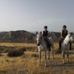 Almeria: Horse Riding Tour Through the Tabernas Desert - An In-Depth Look at the Horse Riding Experience