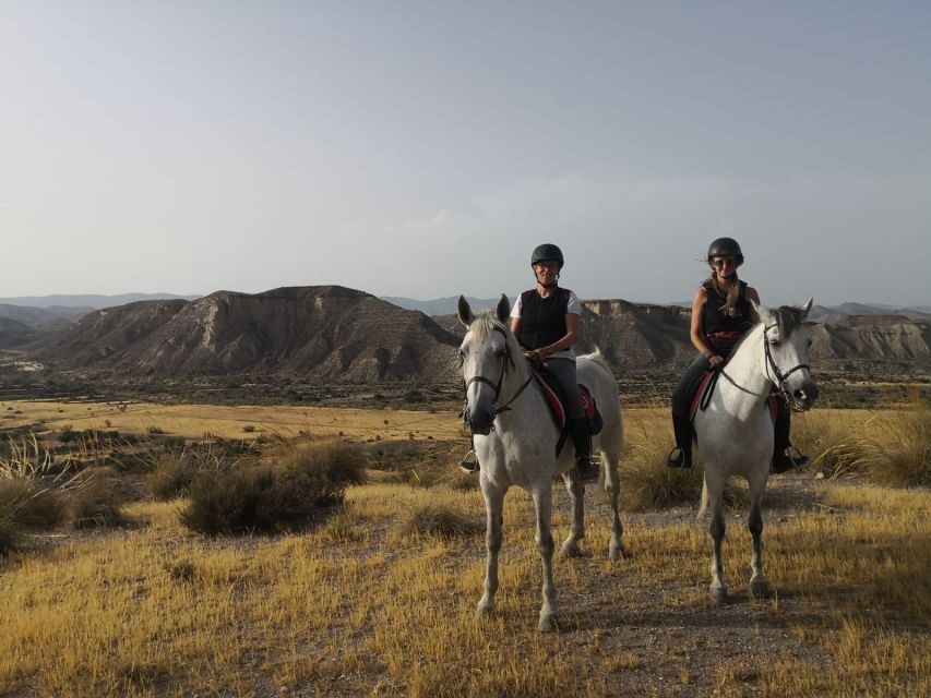 Almeria: Horse Riding Tour Through the Tabernas Desert - An In-Depth Look at the Horse Riding Experience