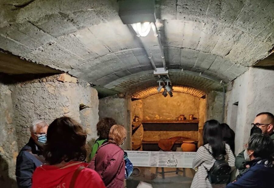 Almeria: Spanish Civil War Shelters Ticket and Official Tour - Who Will Love This Experience?