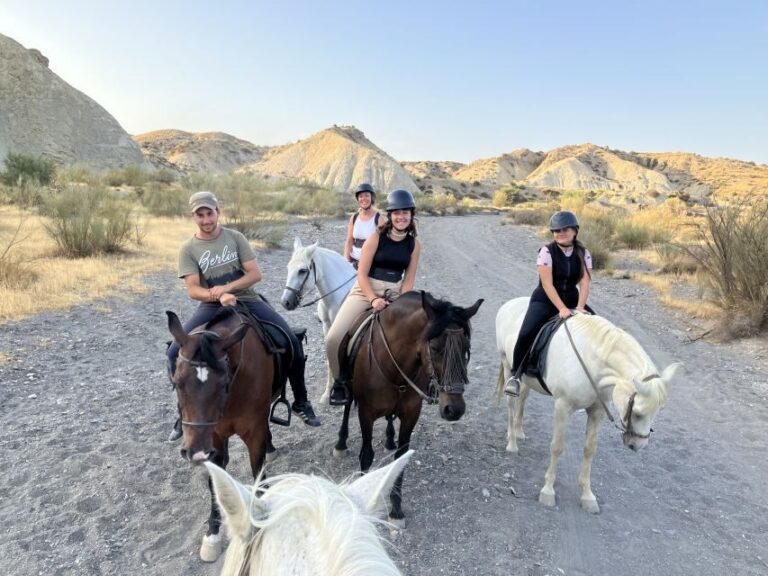 Almeria: Tabernas Desert Horse Riding for experienced riders - A Closer Look at the Experience