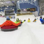 Alpenpark Neuss  1-hour sledding ticket - Value and Pricing Analysis