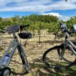 Alpilles: Discover vineyards and farms by electric bike - What to Expect at Each Stop