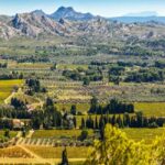 Alpilles: Discover vineyards and farms by electric bike - What Makes This Tour Stand Out?