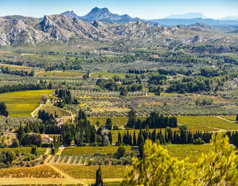 Alpilles: Discover vineyards and farms by electric bike - What Makes This Tour Stand Out?