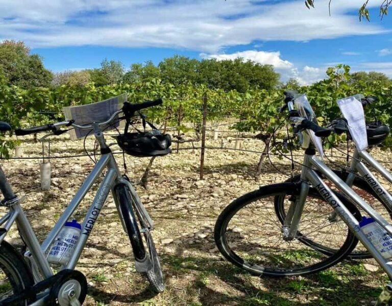 Alpilles: Discover vineyards and farms by electric bike - What to Expect at Each Stop