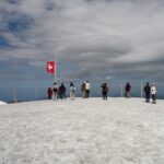 Alpine Majesty:From Luzern to Jungfraujoch Exclusive Private Tour - The Bottom Line: Who Will Love This Tour?