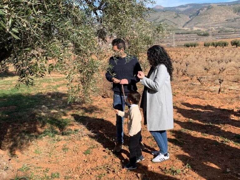 Alpujarra of Almería: Organic Wine tour and local aperitif - Discovering the Organic Winery and Its Secrets