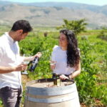 Alpujarra of Almería: Organic Wine tour and vegan aperitif - The Itinerary in Detail