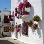 Alpujarras Day Trip Private or Small Tour - Who Is This Tour Best For?