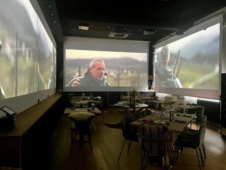 Alsace: Alsatian Wine Tasting Tour and Alsatian Lunch - The Sum Up