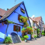 Alsace Full Day Wine Tour from Colmar - Authenticity and Unique Experiences