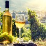 Alsace: Full-Day Wine Tour & Tastings from Strasbourg - An In-depth Look at the Alsace Wine Tour
