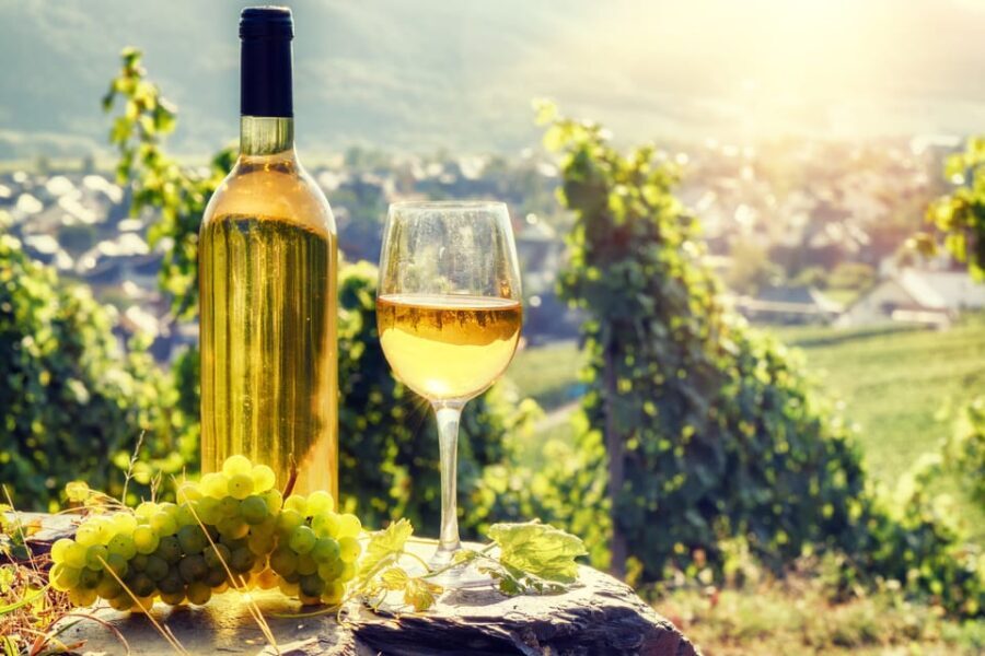 Alsace: Full-Day Wine Tour & Tastings from Strasbourg - An In-depth Look at the Alsace Wine Tour