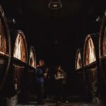 Alsace: Guided Wine Tasting and Cellar Visit - Final Thoughts