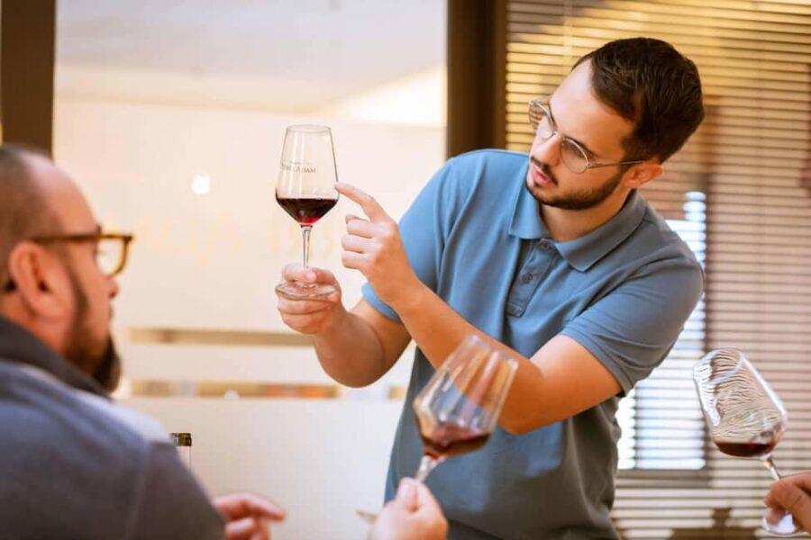 Alsace: Visit and Wine Tasting at Domaine Pierre Adam - What to Expect During Your Tour