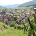 Alsace Wine Route Small Group Half-Day Tour with Tasting from Strasbourg - The Practicalities: What You Need to Know